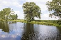 An der Hamme