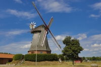 De griese Graue in Osterholz Lübberstedt