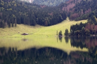 Obersee