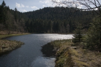 Schwarzwald Buhlbachsee