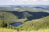 Schwarzwald Feldsee