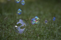 Seifenblasen Gänseblümchen