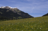 Zugspitzgebiet